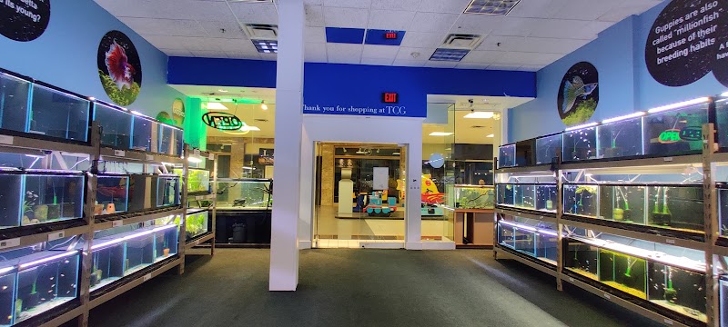 Twin Cities Guppies - Photo 2