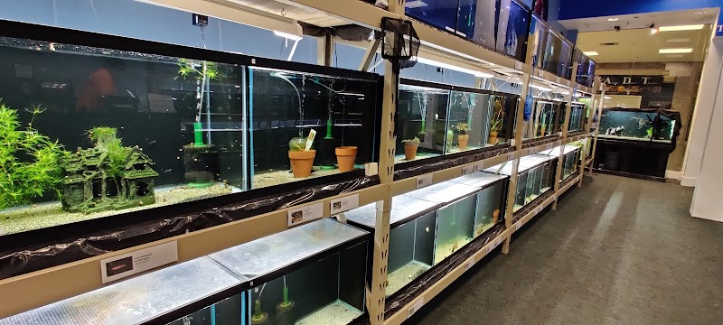 Twin Cities Guppies - Photo 3