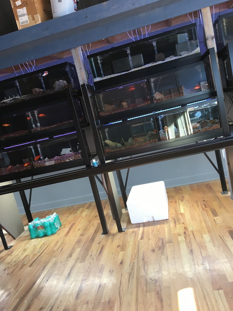 Aqualand Aquarium Center - Photo 5