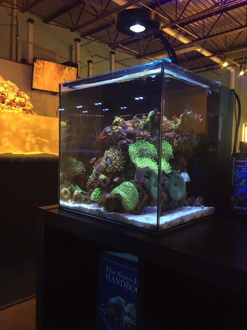 ReefCo - Photo 5