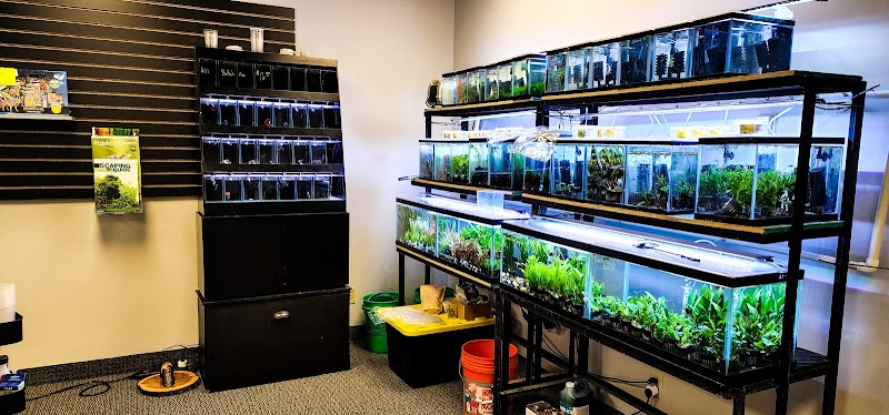 Joes shrimp shack - Photo 2