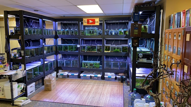 Joes shrimp shack - Photo 3