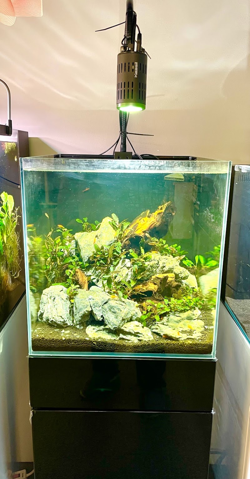 Joes shrimp shack - Photo 5