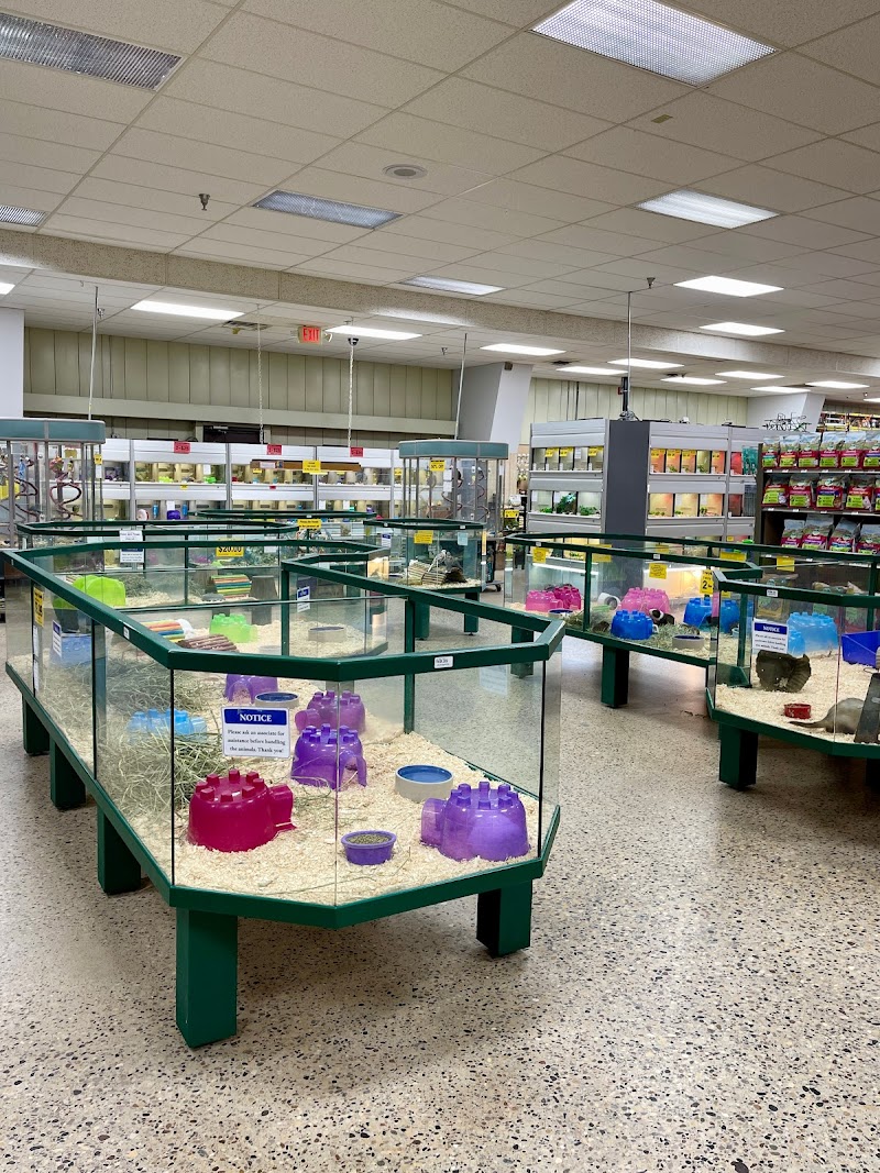 Pet Expo - Mankato - Photo 3