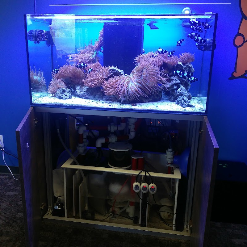 Bulk Reef Supply - Photo 2