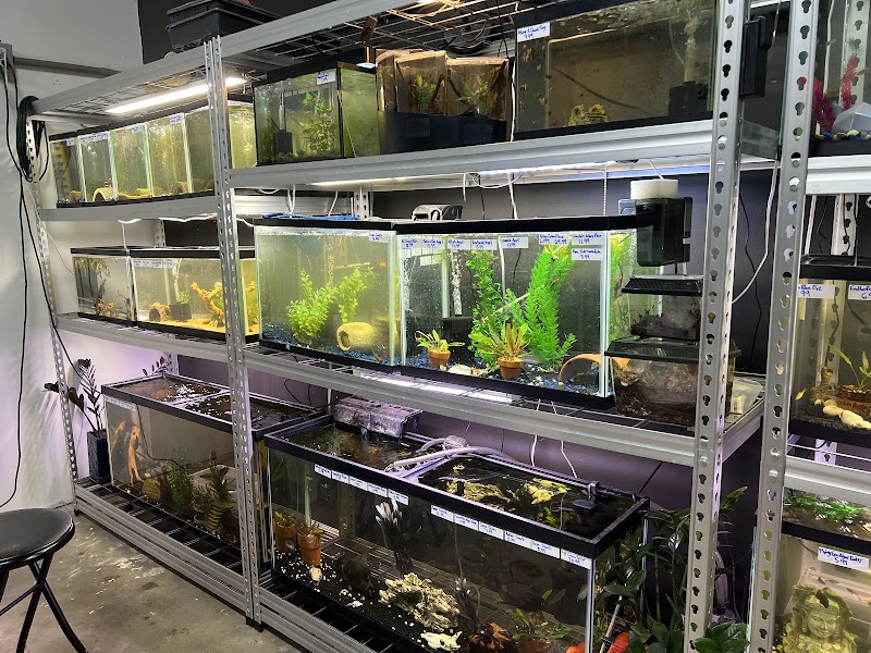 Red River Exotics and Aquatics - Photo 1