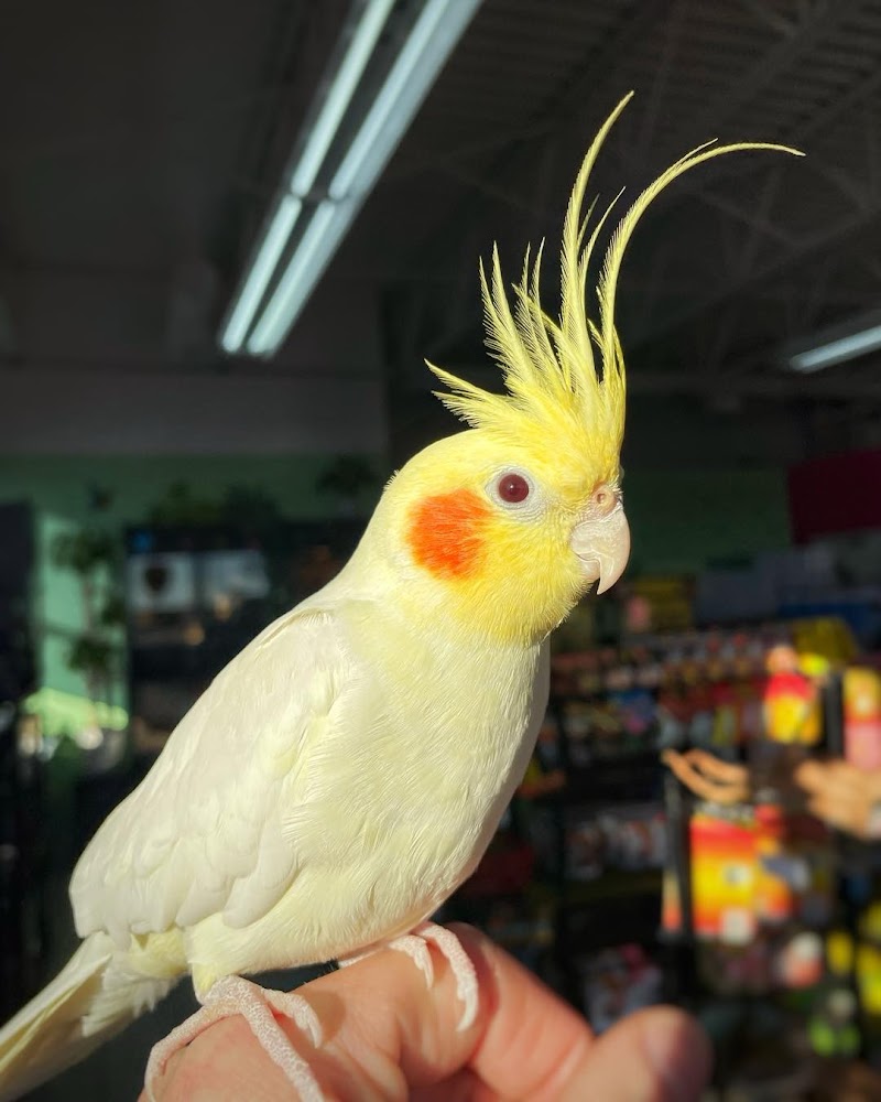 Red River Exotics and Aquatics - Photo 2