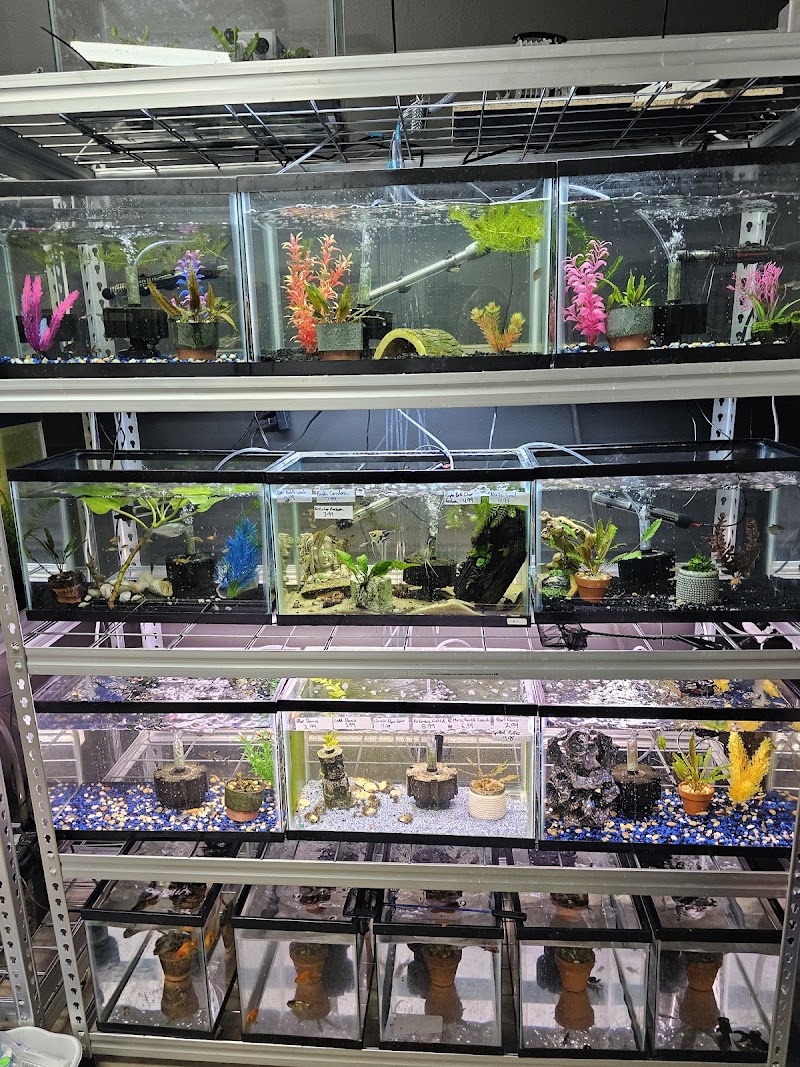 Red River Exotics and Aquatics - Photo 4