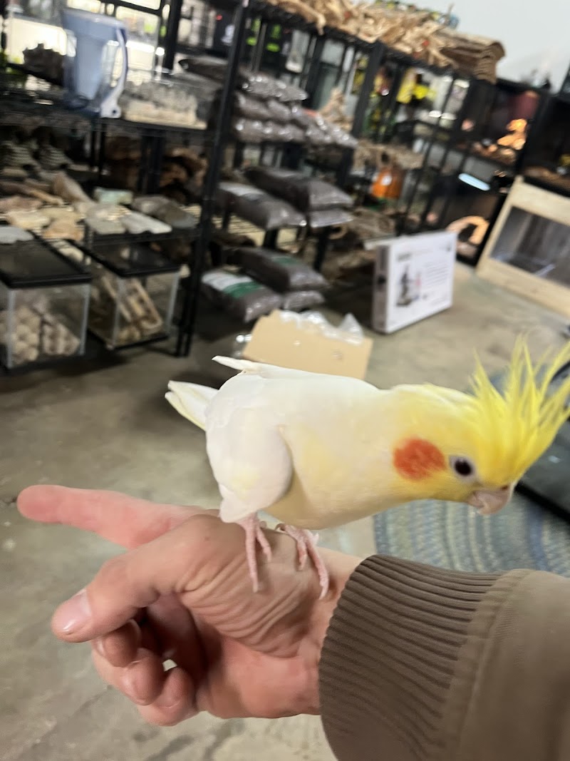 Red River Exotics and Aquatics - Photo 5