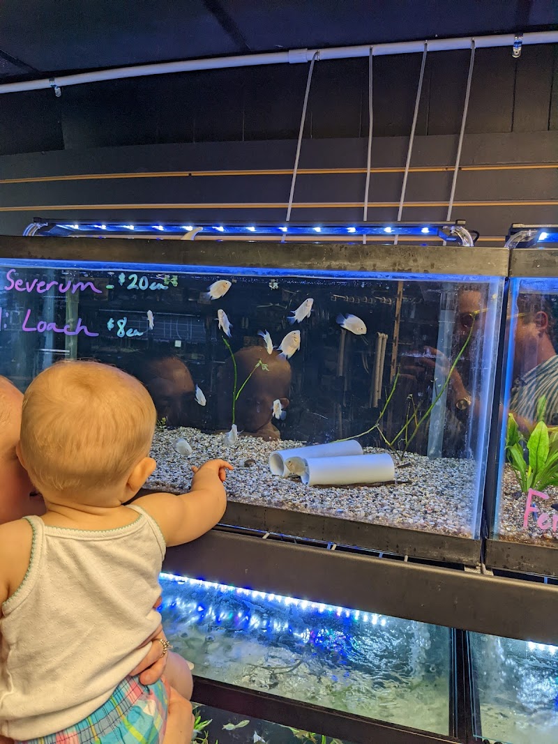 Deez Fish Co - Photo 2