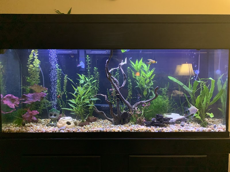 Deez Fish Co - Photo 3