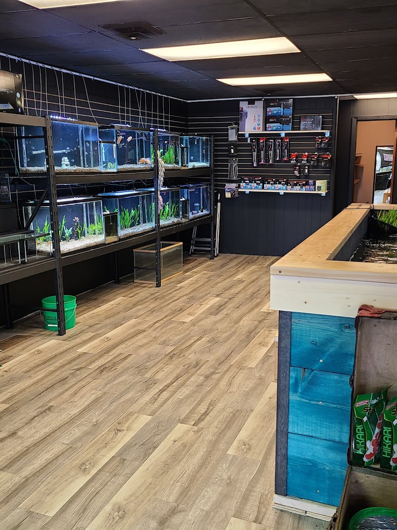 Deez Fish Co - Photo 4