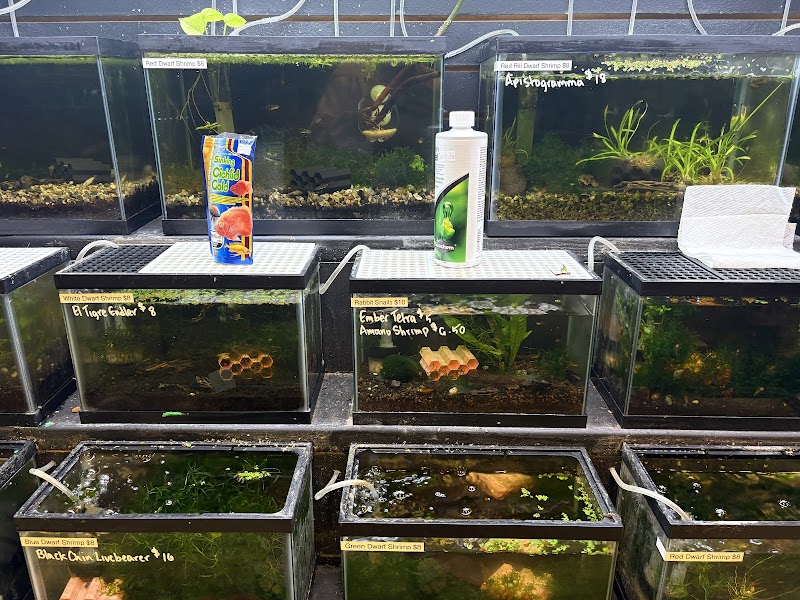 Deez Fish Co - Photo 5