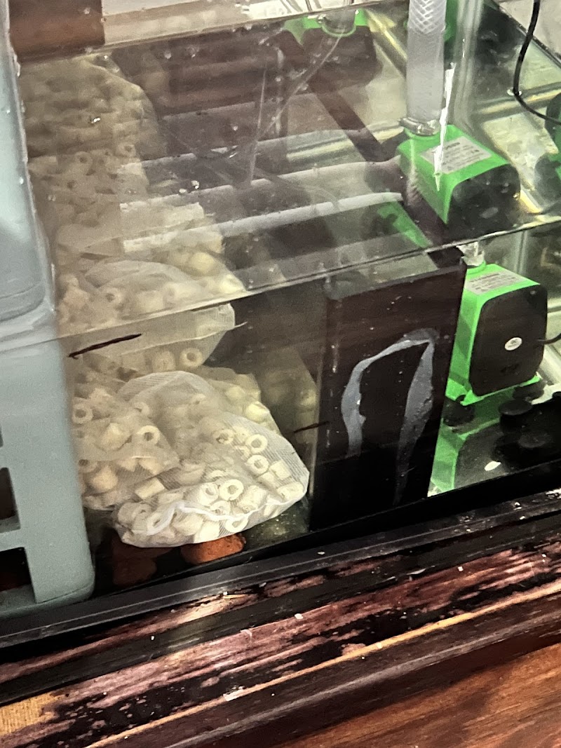 TK Aquatics - Photo 2