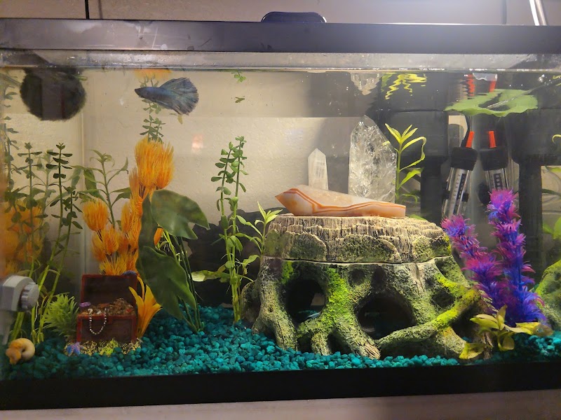 TK Aquatics - Photo 3