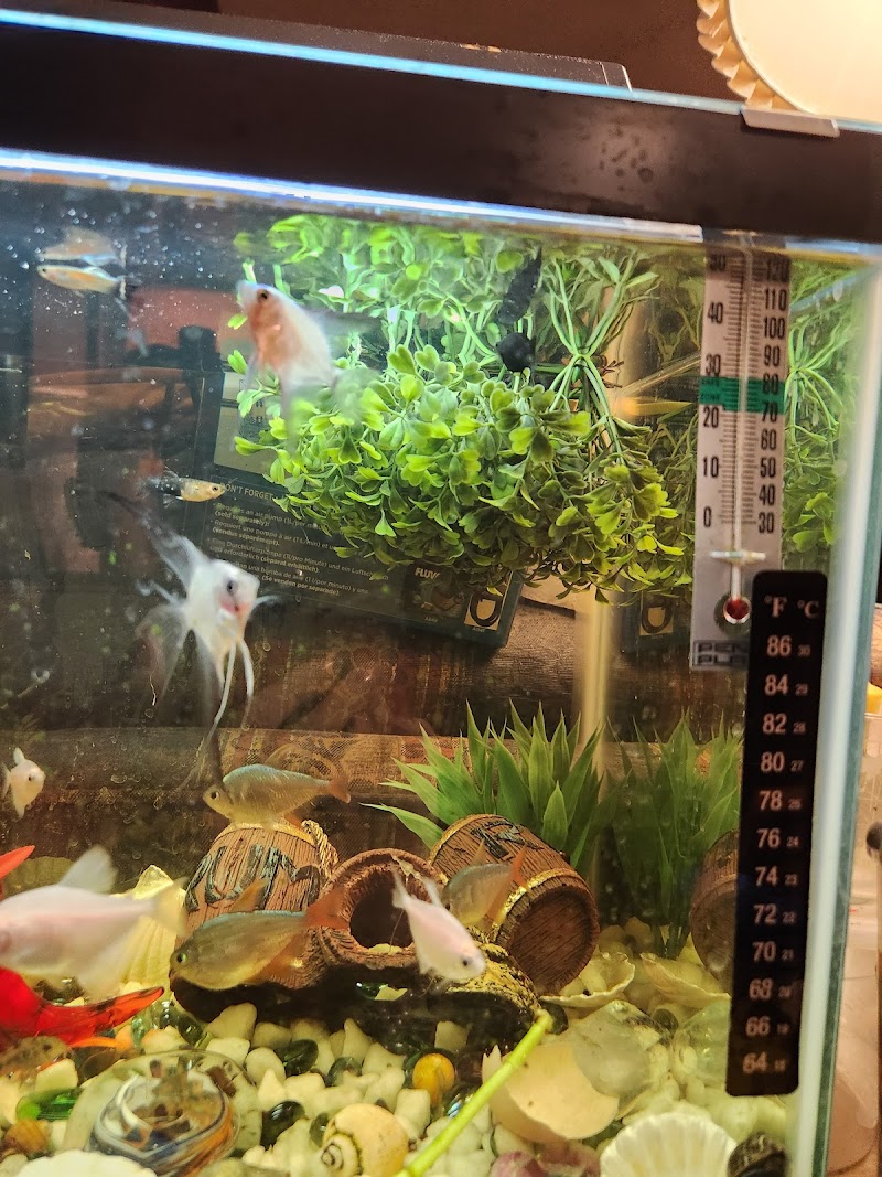 TK Aquatics - Photo 4