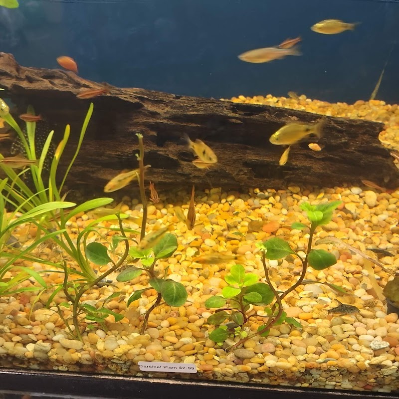 TK Aquatics - Photo 5