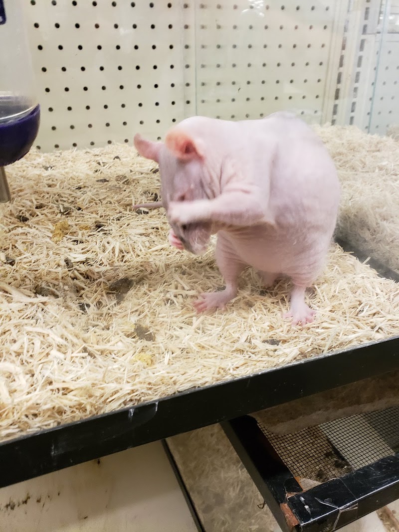 Pets & Fish - Photo 3