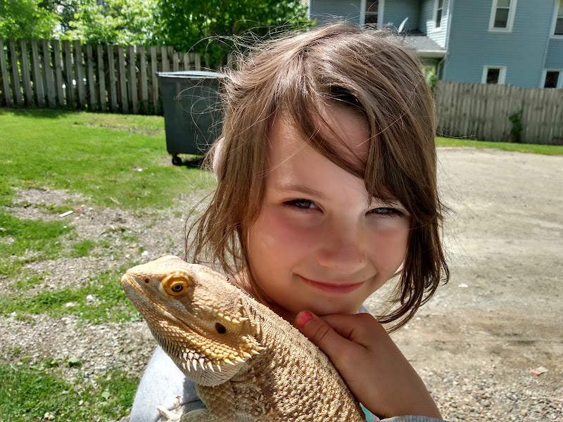 Pets & Fish - Photo 4