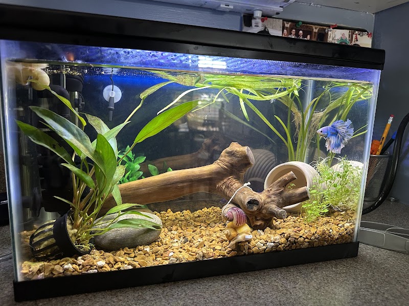 Aqua World - Photo 2