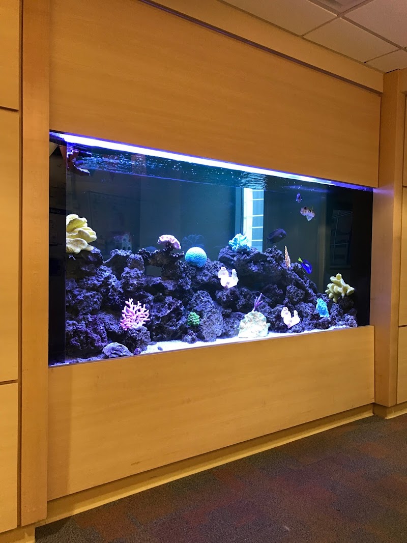 Aqua World - Photo 3