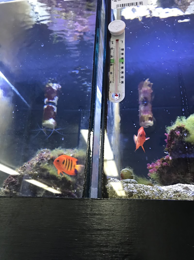 Aqua World - Photo 5