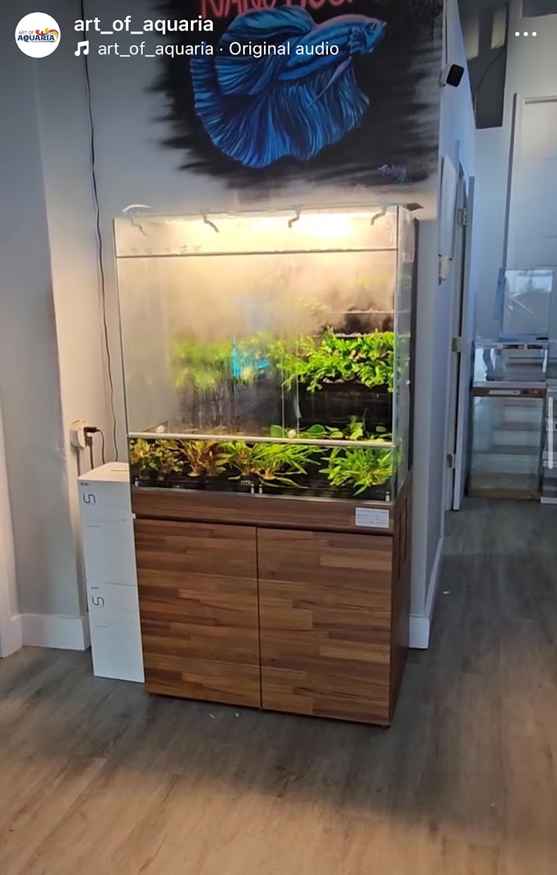 Art Of Aquaria - Photo 1