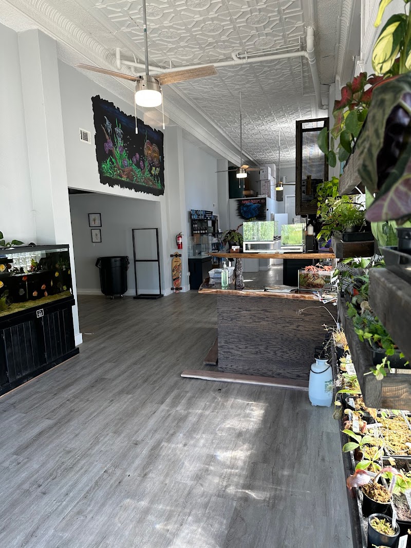 Art Of Aquaria - Photo 2