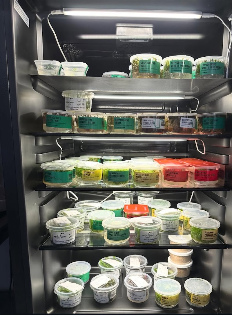 Art Of Aquaria - Photo 3