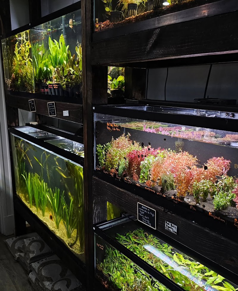 Art Of Aquaria - Photo 4