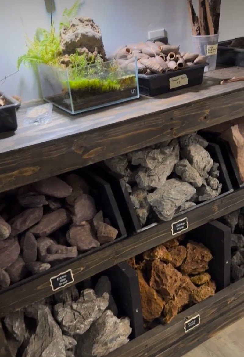 Art Of Aquaria - Photo 5