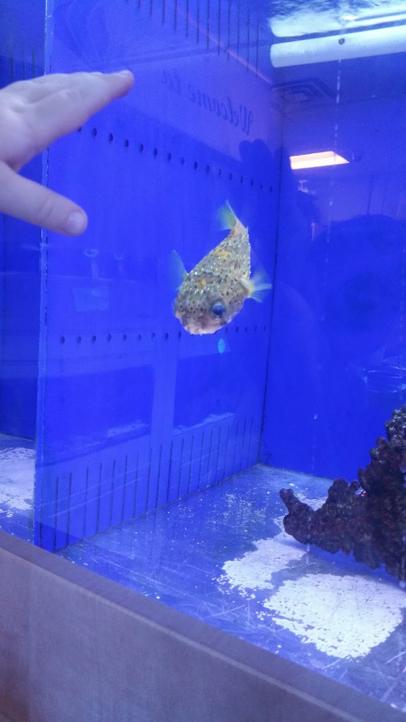 Seascape Studio - Photo 2