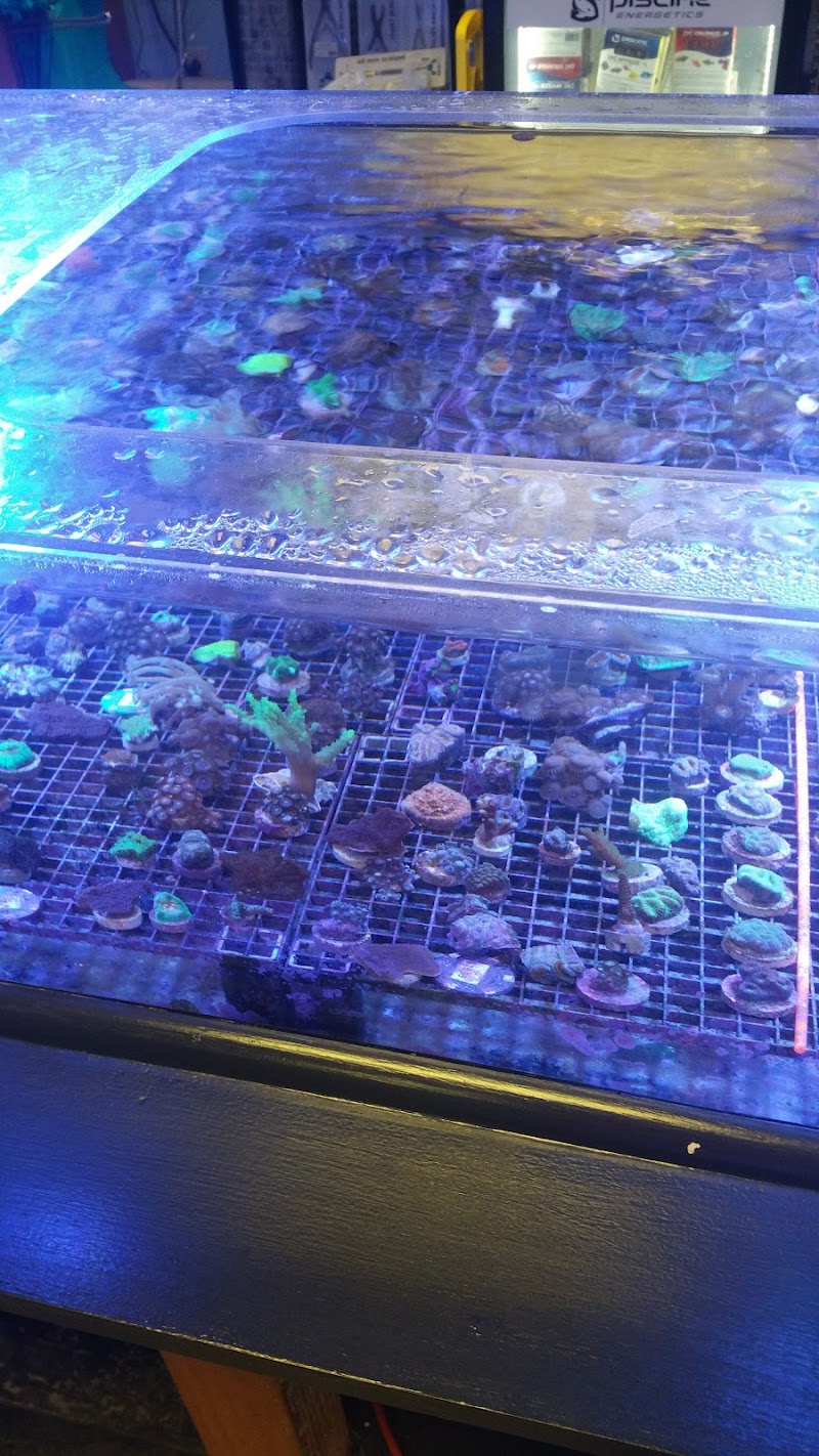 Seascape Studio - Photo 3