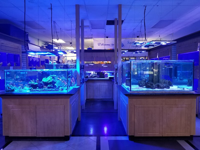 Seascape Studio - Photo 4