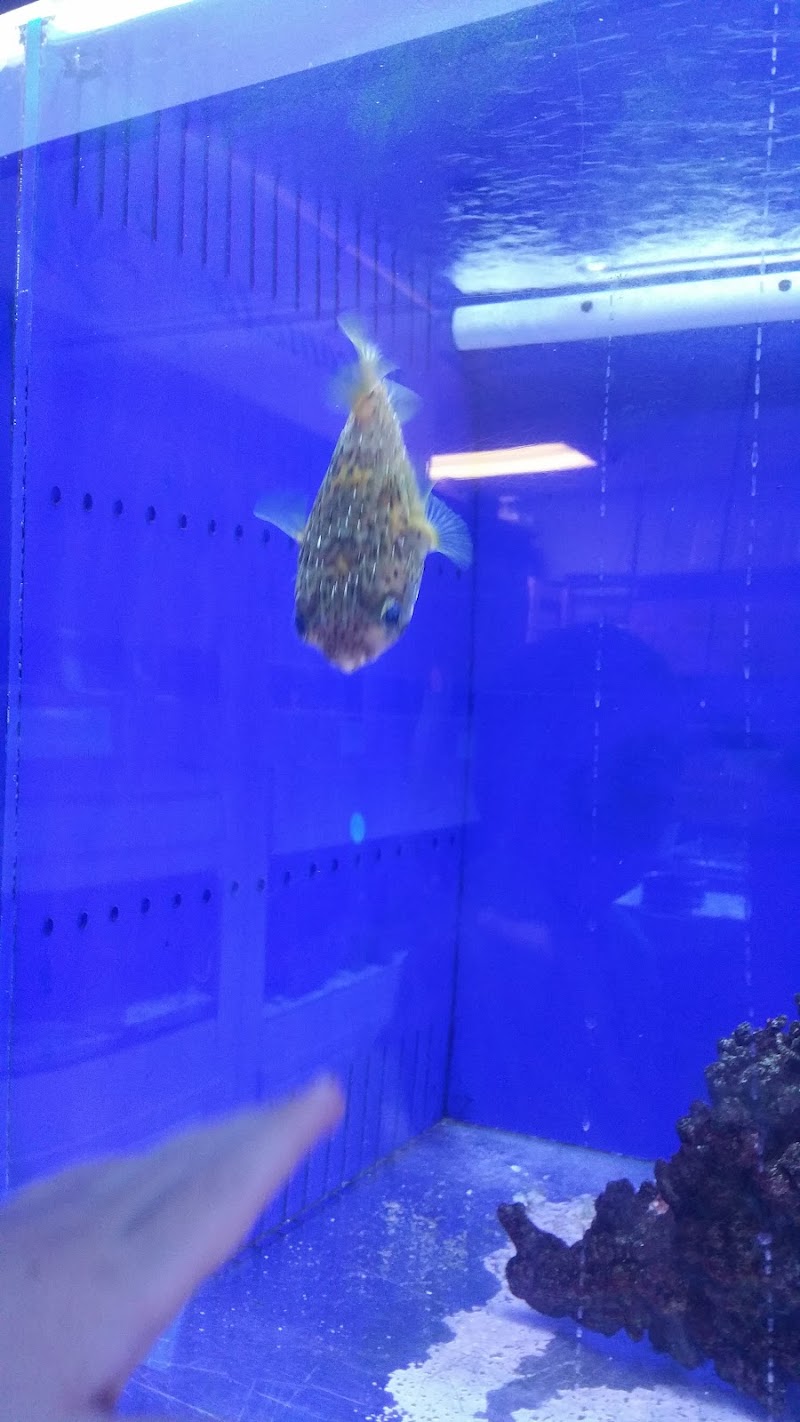 Seascape Studio - Photo 5