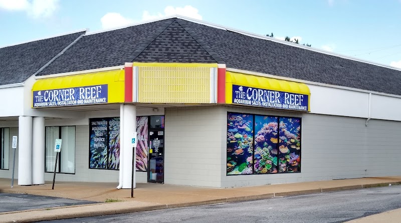 The Corner Reef - Photo 1