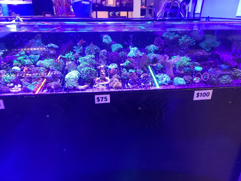 STL Aquatics - Photo 4