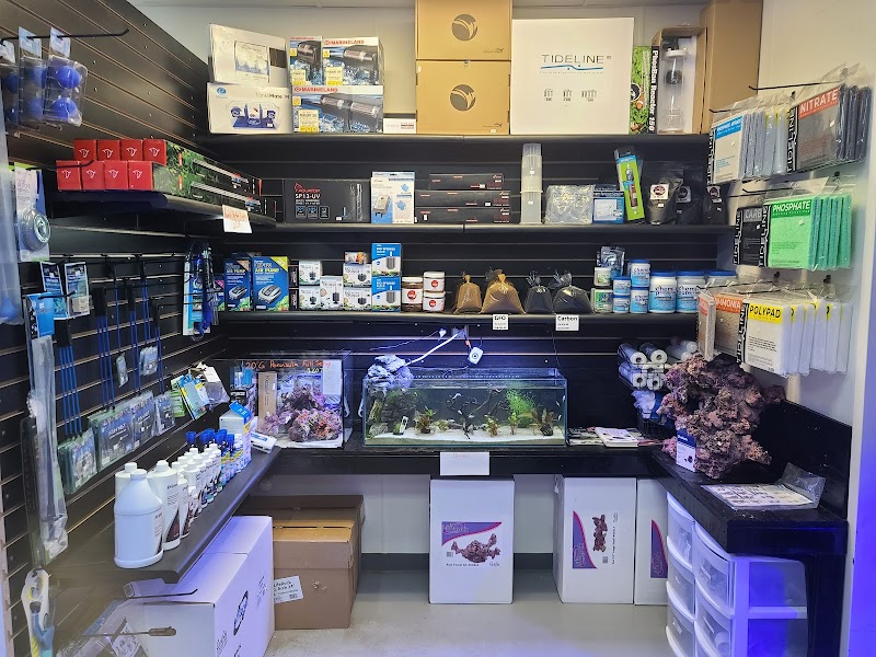 STL Aquatics - Photo 5