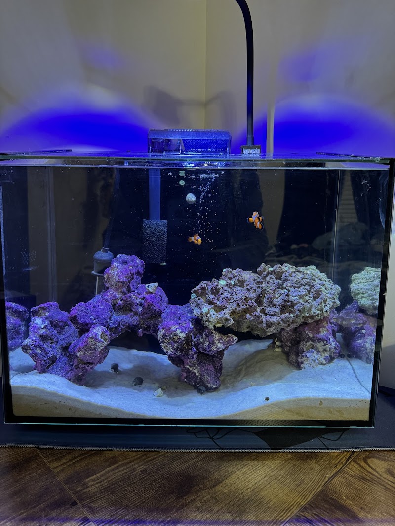 Marine Solutions - Photo 3