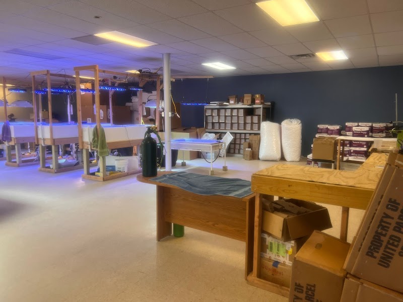 Salty Underground - Photo 2