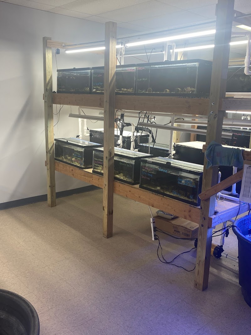 Salty Underground - Photo 3