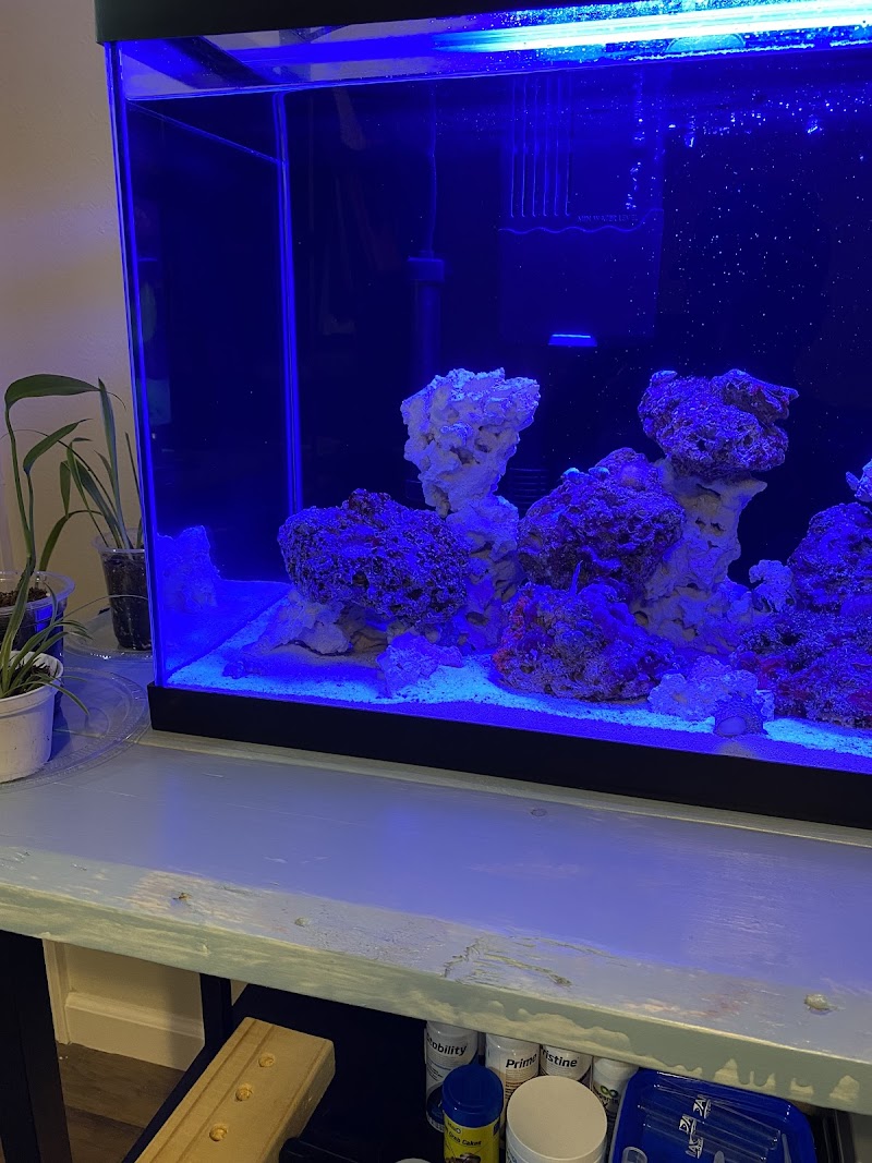 Salty Underground - Photo 4