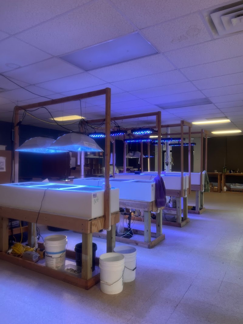 Salty Underground - Photo 5