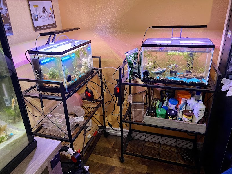 Fins For Grins - Photo 3