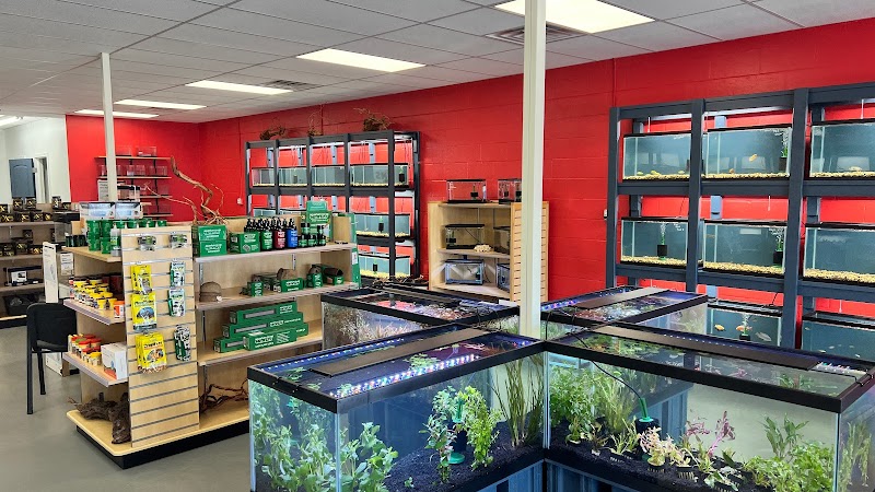 Fins For Grins - Photo 4