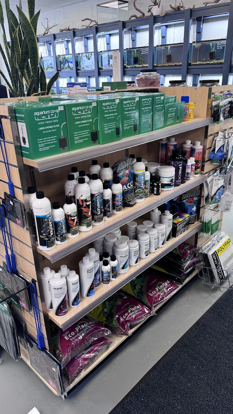 Fins For Grins - Photo 5