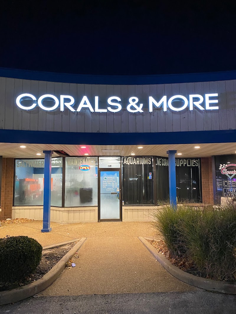Corals & More - Photo 1