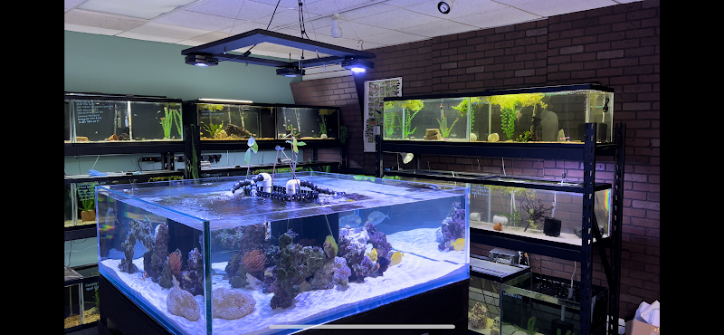 Corals & More - Photo 5