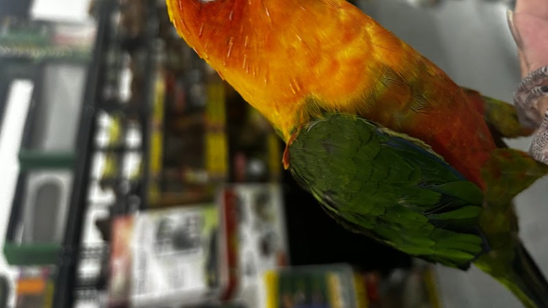 John’s Exotic Pet Store - Photo 2