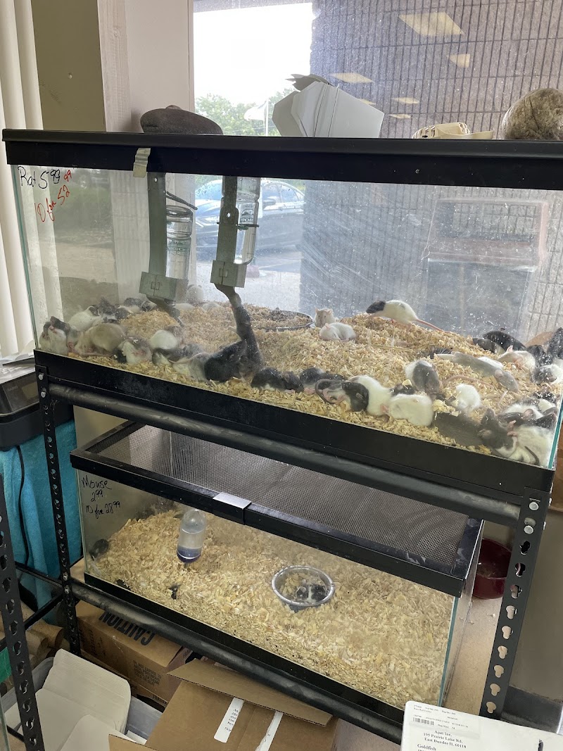 John’s Exotic Pet Store - Photo 4